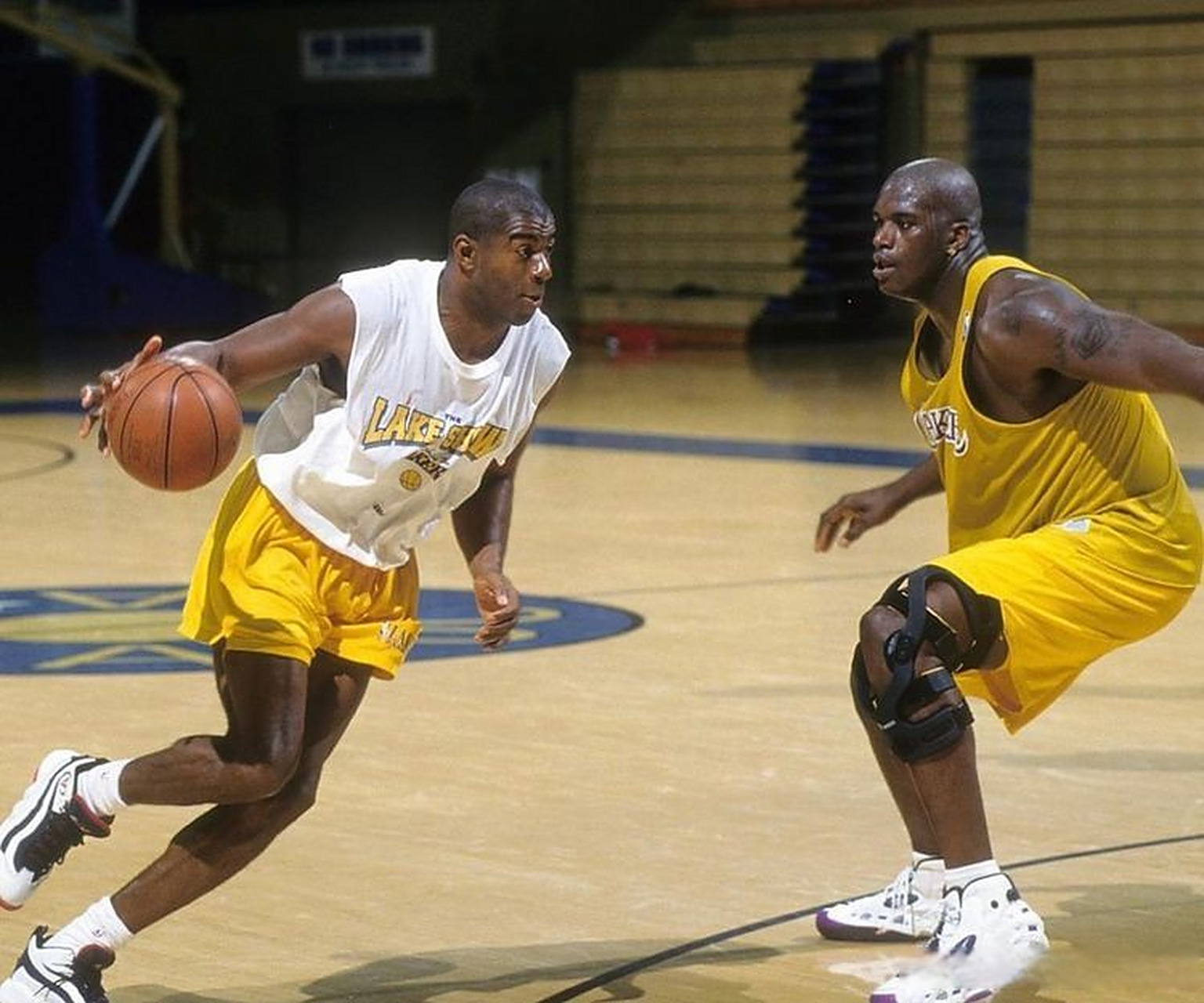 的身体素质 的身体素质