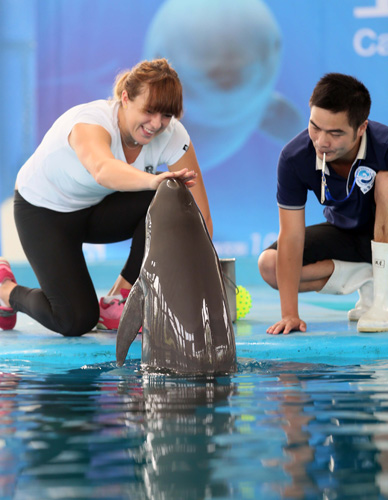 多的社交媒 多的社交媒